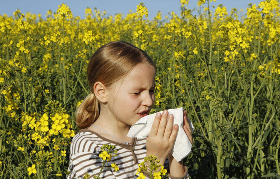 宝宝花粉过敏怎么预防？